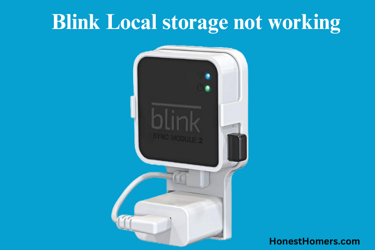 Blink Local storage not working