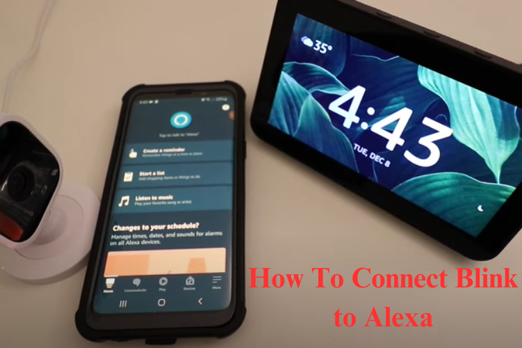 How To Connect Blink to Alexa